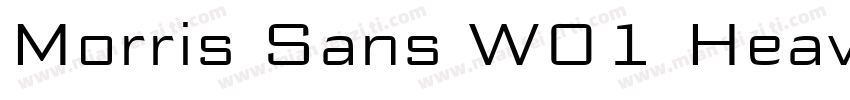 Morris Sans W01 Heav字体转换